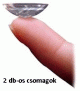 Havi lencsék 2 db-os csomagban